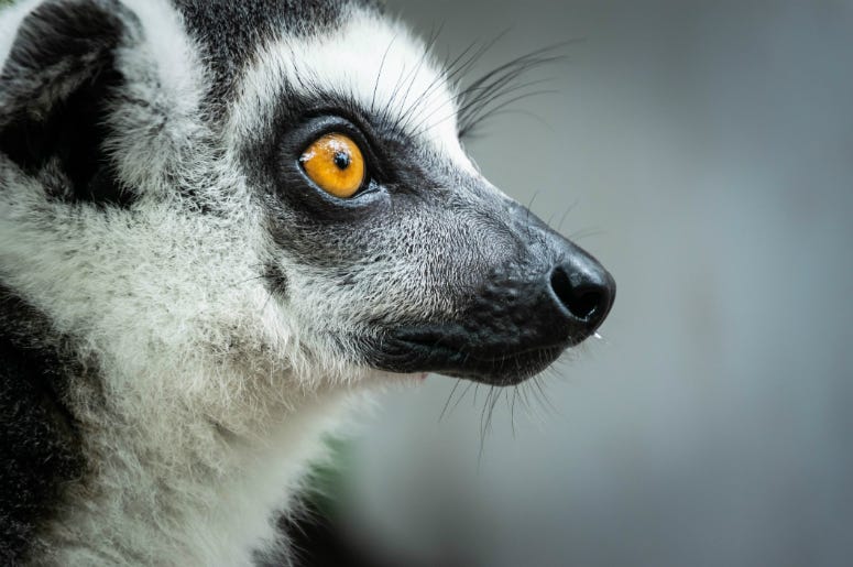 Photo Credit: Dreamstime Photo Credit: Dreamstime