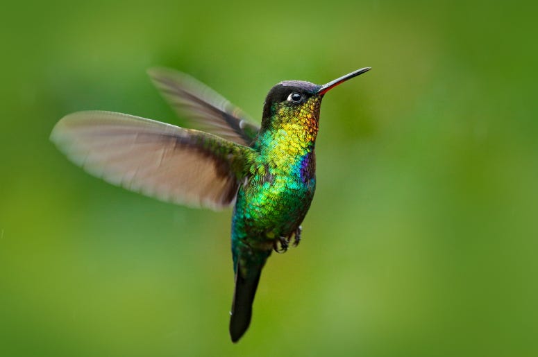 Photo Credit: Dreamstime Photo Credit: Dreamstime