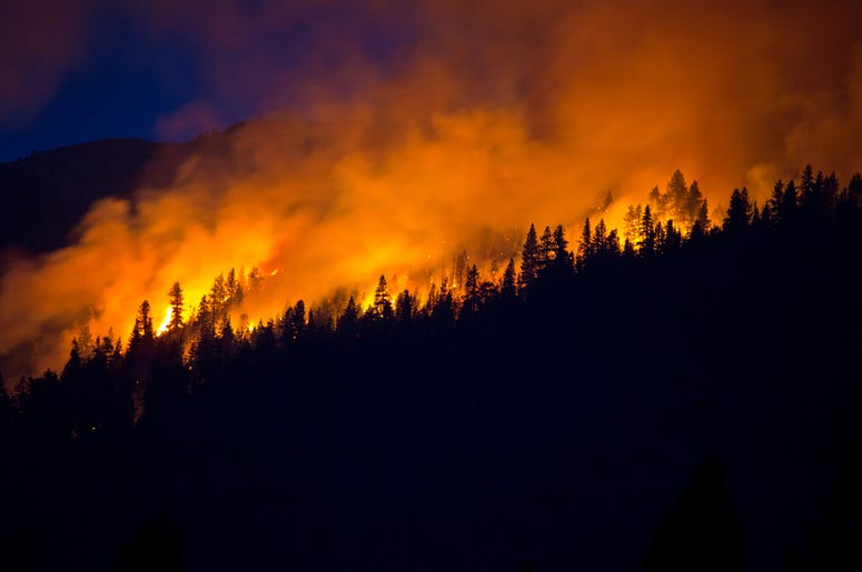 wildfire wildfire