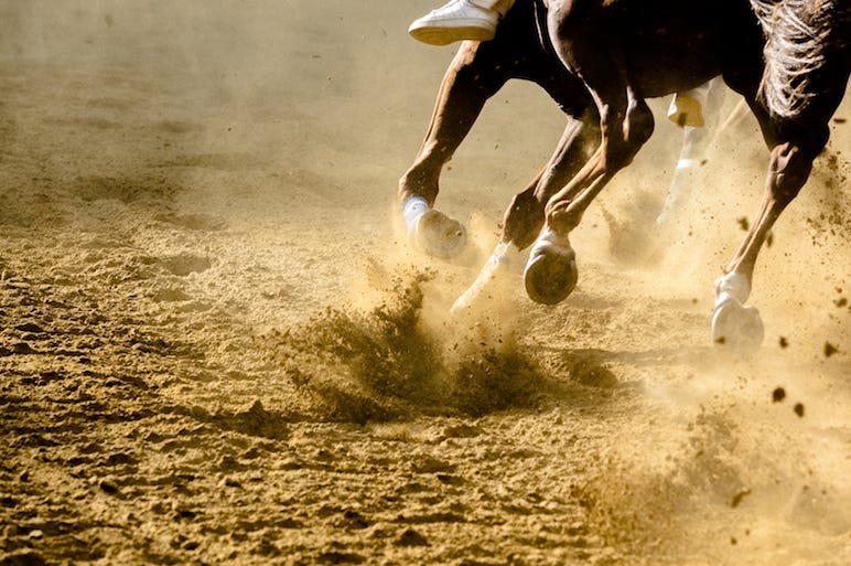 Horse, Racing, Running, Dirt Track, Horse, Racing, Running, Dirt Track,