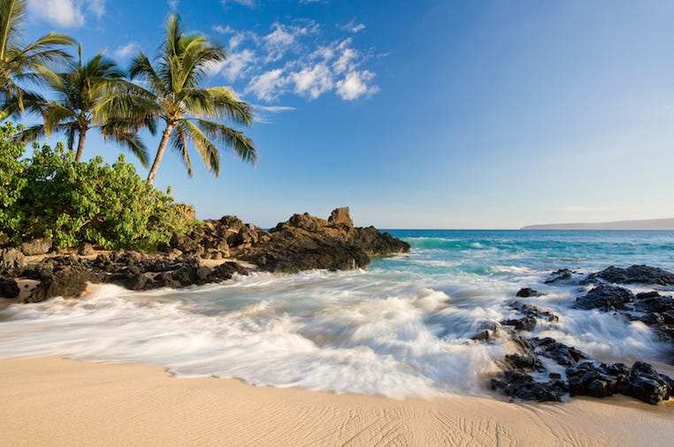 Tropical, Beach, Island, Hawaii Tropical, Beach, Island, Hawaii