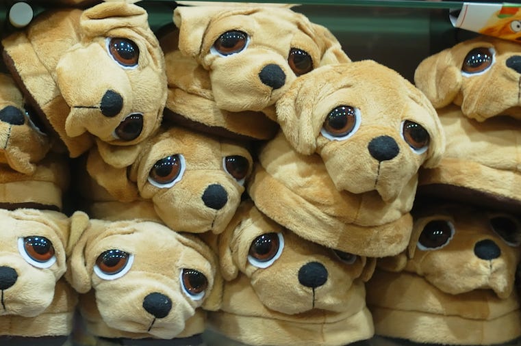 Dog Slippers, Pet, House Shoes, Shop Dog Slippers, Pet, House Shoes, Shop