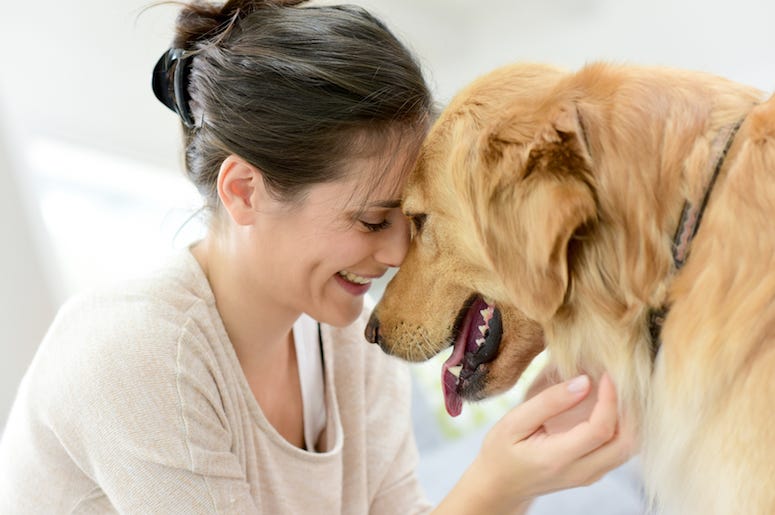 Woman, Dog, Cuddling Woman, Dog, Cuddling