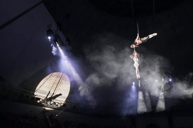 Trapeze Artists, Circus Trapeze Artists, Circus