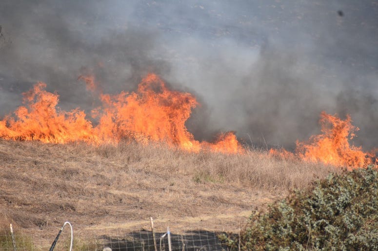 Flames whip on a ridge in California Flames whip on a ridge in California