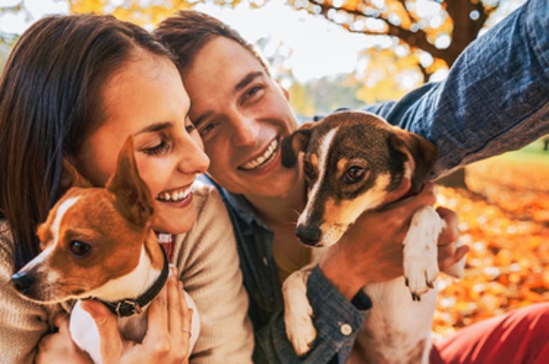 Dating App For Dog Lovers Dating App For Dog Lovers