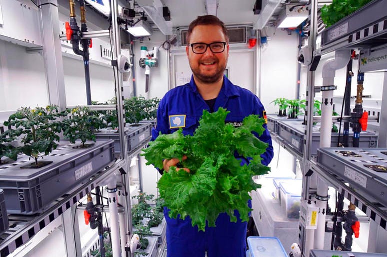 1st vegetables in Antarctic greenhouse 1st vegetables in Antarctic greenhouse