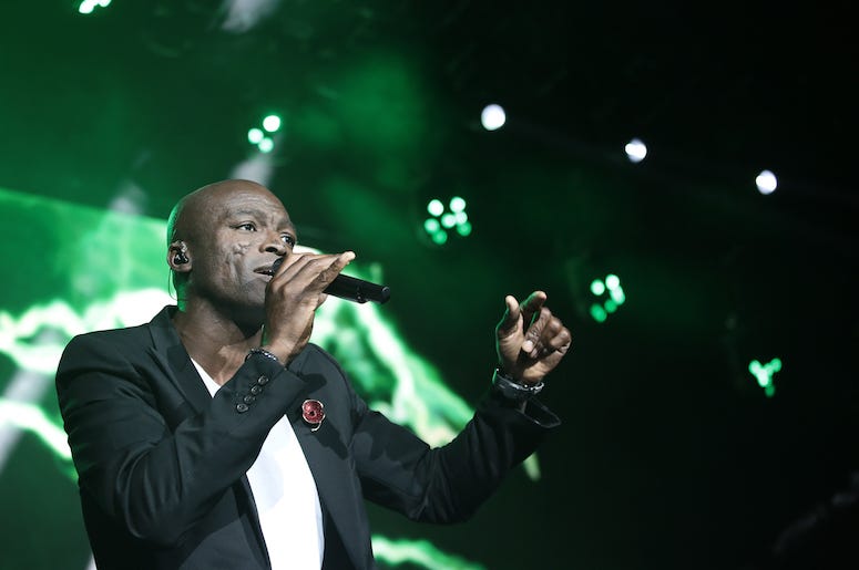 Seal, Concert, Singing, Microphone Seal, Concert, Singing, Microphone