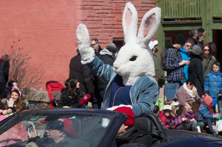 easter bunny easter