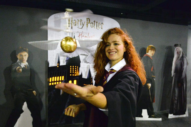 Harry Potter Potter