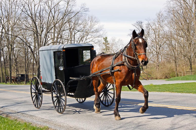 Amish Buggy