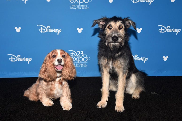 Lady_and_the_Tramp Lady_and_the_Tramp
