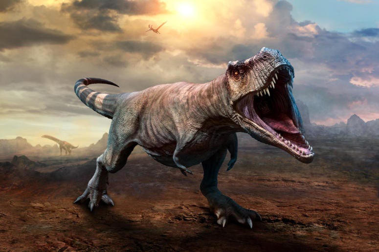 T_Rex T_Rex
