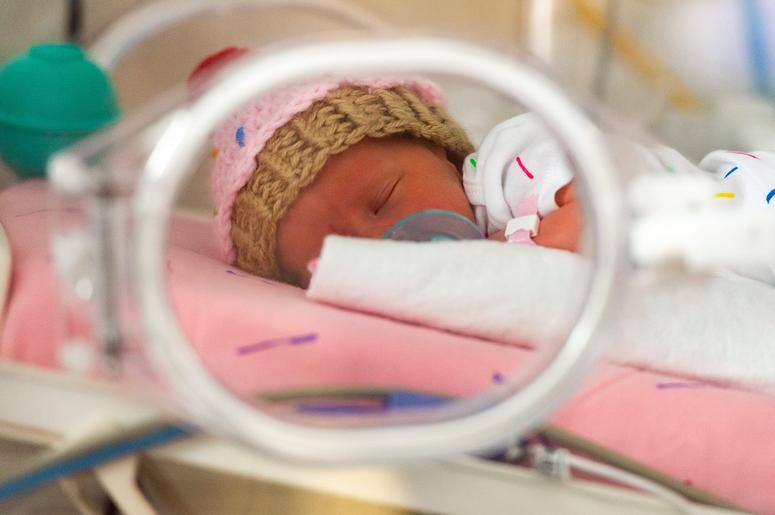 nicu nicu