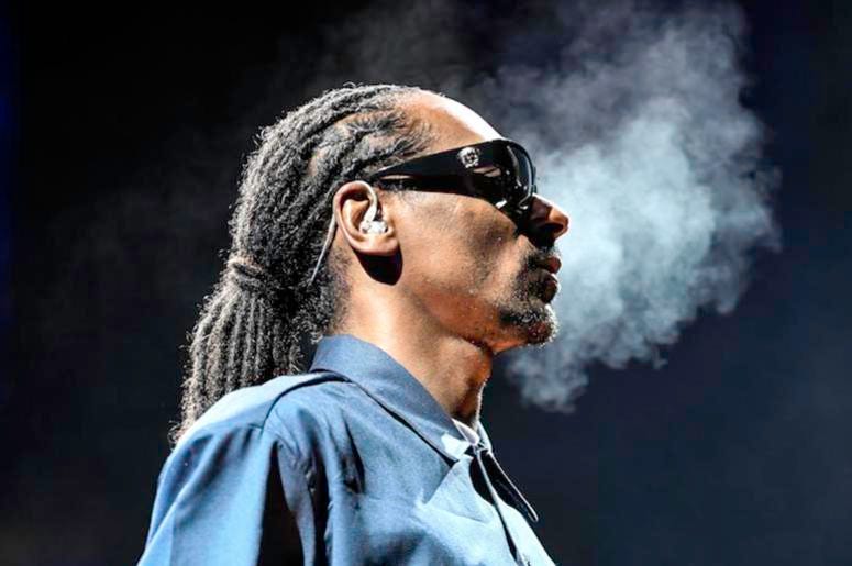 Snoop Dogg, Profile, Concert, Sunglasses, Smoke Snoop Dogg, Profile, Concert, Sunglasses, Smoke