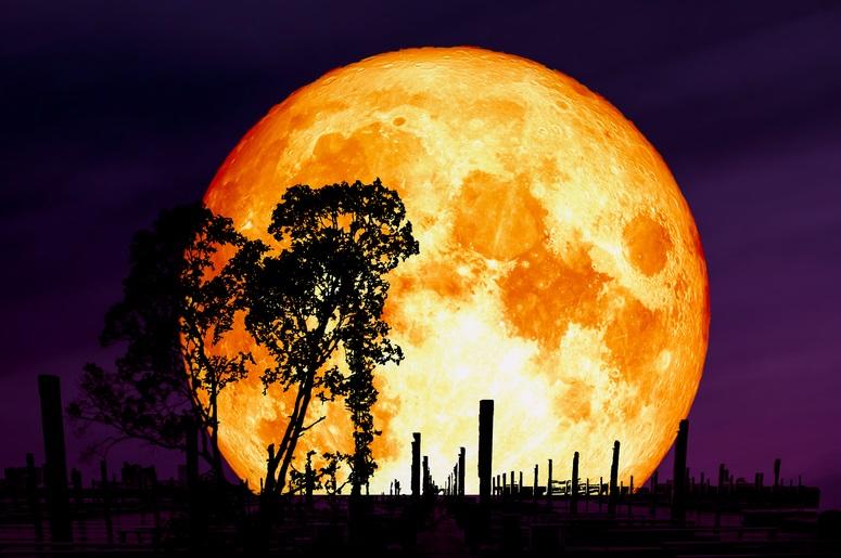 blood_moon blood_moon