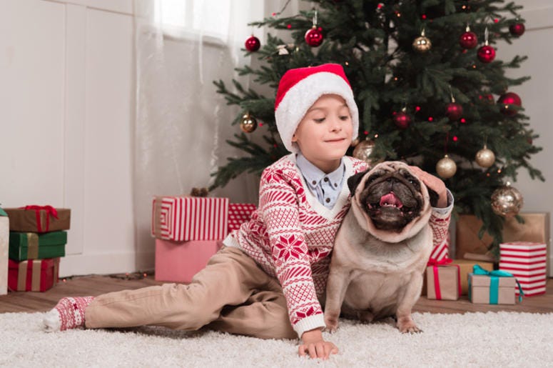 Boy petting his dog Boy petting his dog