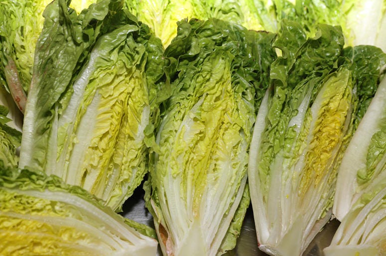 romaine romaine
