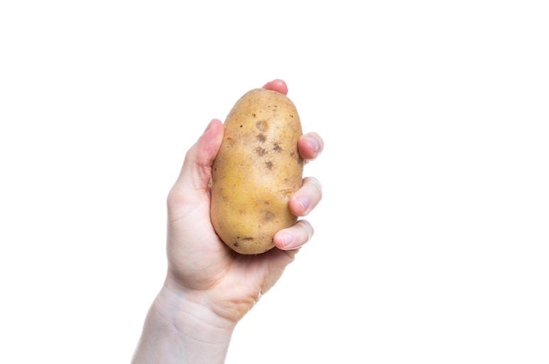 Hand Holding Potato Hand Holding Potato