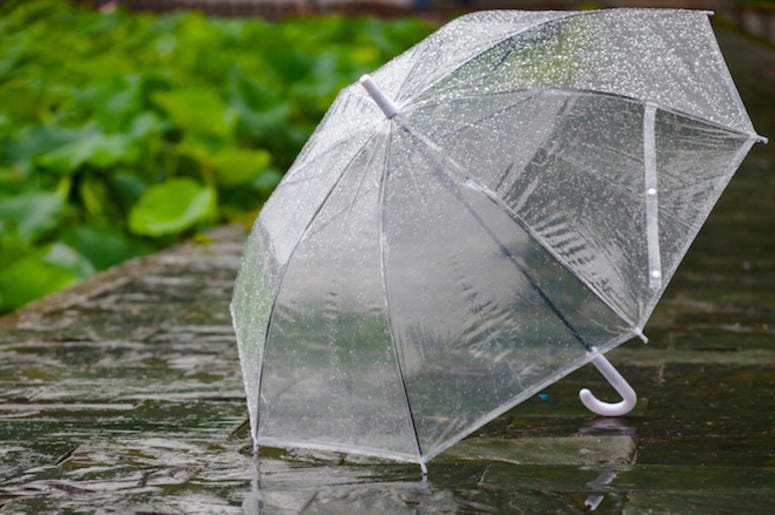 Umbrella, Rain, Ground, Clear Umbrella, Rain, Ground, Clear