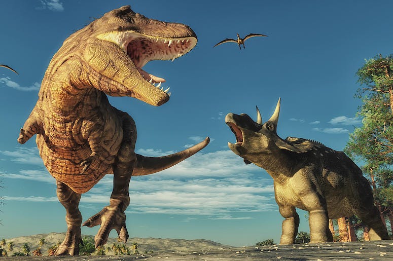Dinosaurs, T-Rex, Triceratops Dinosaurs, T-Rex, Triceratops