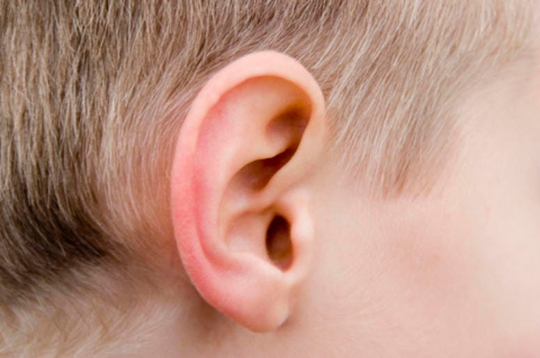 Human Ear