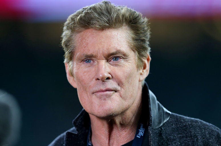 David Hasselhoff, Smirk, Smile, Red Carpet, 2017 David Hasselhoff, Smirk, Smile, Red Carpet, 2017