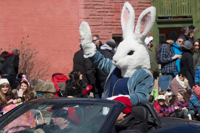 easter bunny easter