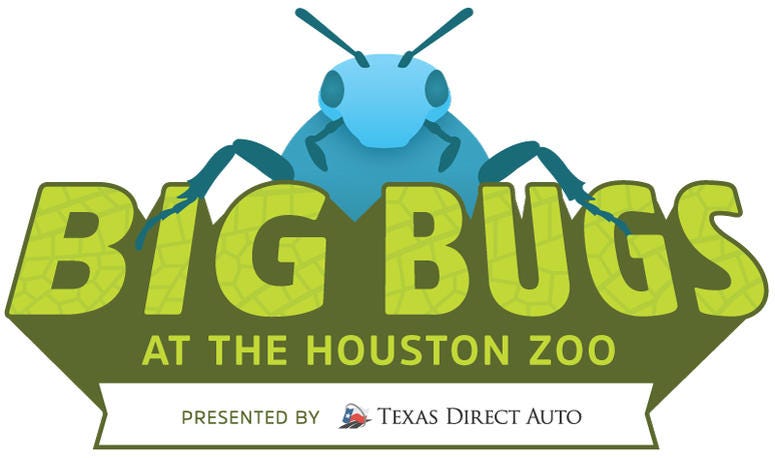 Big Bugs Big Bugs