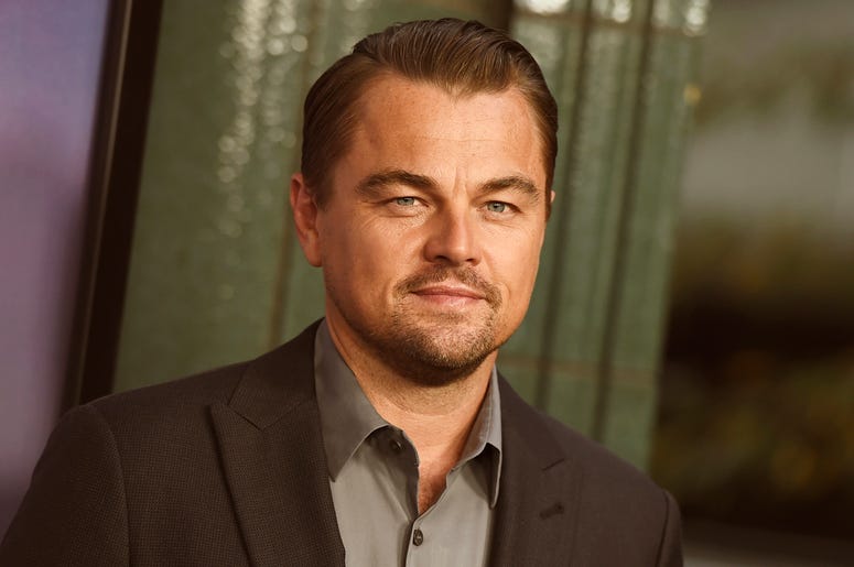 AP19183690296271 This June 5, 2019 file photo shows Leonardo DiCaprio at the premiere of "Ice on Fire" in Los Angeles. (Photo by Jordan Strauss/Invision/AP, File)