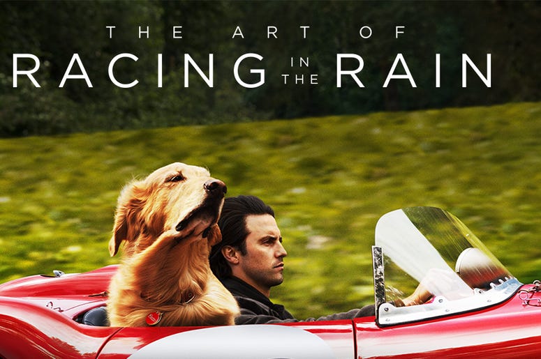 Racing In The Rain Racing In The Rain