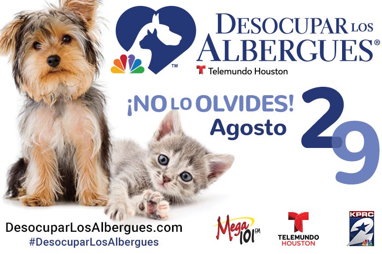 Clear the Shelters