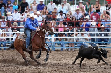 Christian Petersen / Staff Editorial #: 451748178 Collection: Getty Images Sport Christian Petersen / Staff Editorial #: 451748178 Collection: Getty Images Sport