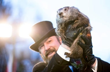 Brett Carlsen / Stringer Editorial #: 913340746 Collection: Getty Images News Brett Carlsen / Stringer Editorial #: 913340746 Collection: Getty Images News
