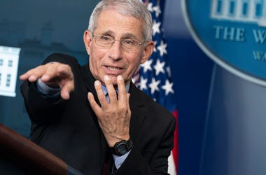 Dr. Fauci