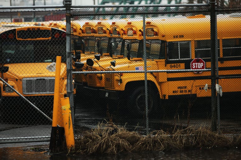 Buses