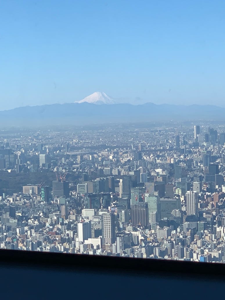 Tokyo & Mt. Fiji from Skytree