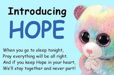 Hope Ty Inc