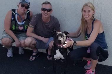 Irwin is looking for a home!