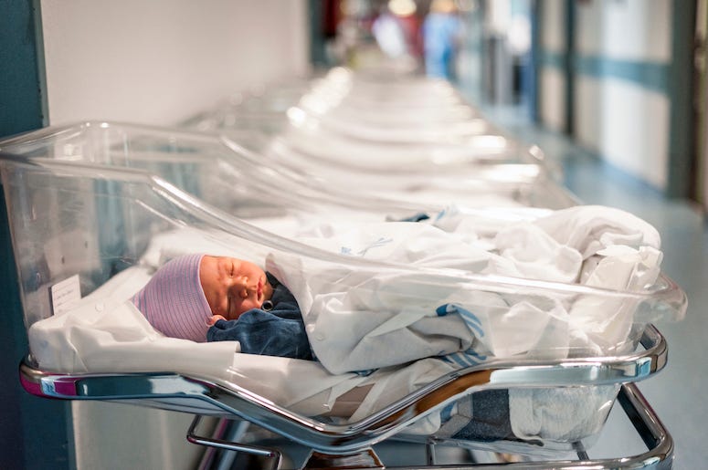 Newborns, Babies, Hospital Newborns, Babies, Hospital