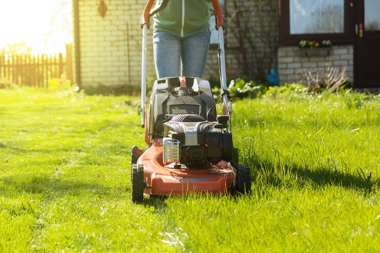 Mowing Grass, Lawnmower, Yard, House, Backyard, Mowing Mowing Grass, Lawnmower, Yard, House, Backyard, Mowing