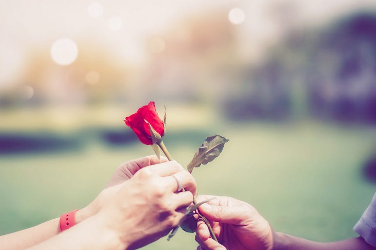 Man Handing Rose To Woman, Rose, Flower, Valentine's Day Man Handing Rose To Woman, Rose, Flower, Valentine's Day
