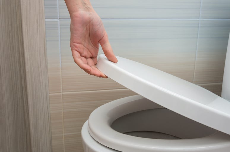 Hand, Lifting Toilet Seat, Toilet, Bathroom Hand, Lifting Toilet Seat, Toilet, Bathroom