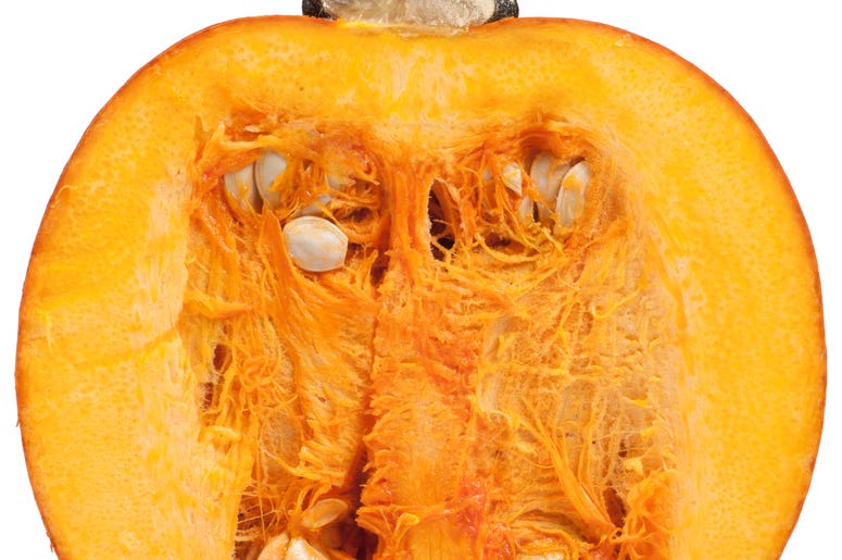 Getty Images Women Make Hilarious WAP Parody Using Pumpkins. "There's some gourds in this house..."