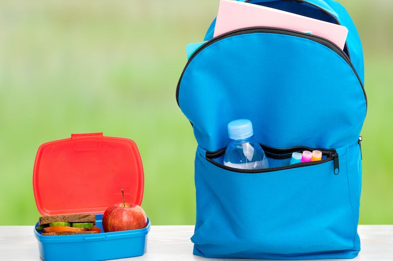 Backpack, Meal, School Lunch, Lunch Backpack, Meal, School Lunch, Lunch