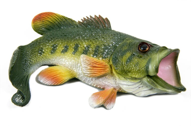Bass bass