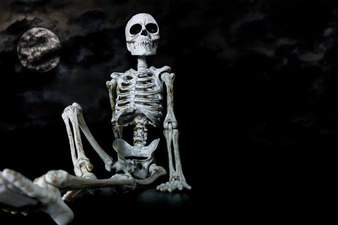 Skeleton skeleton