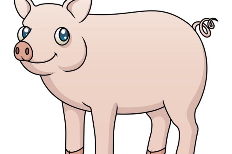 Pig Pig