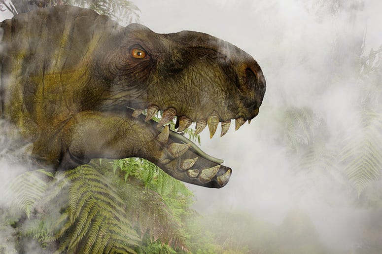 T-Rex t_rex