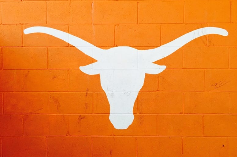 University of Texas Longhorn in Burnt Orange. University of Texas Longhorn in Burnt Orange.